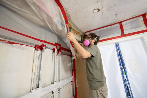 Dehumidification Services in Robins, IA