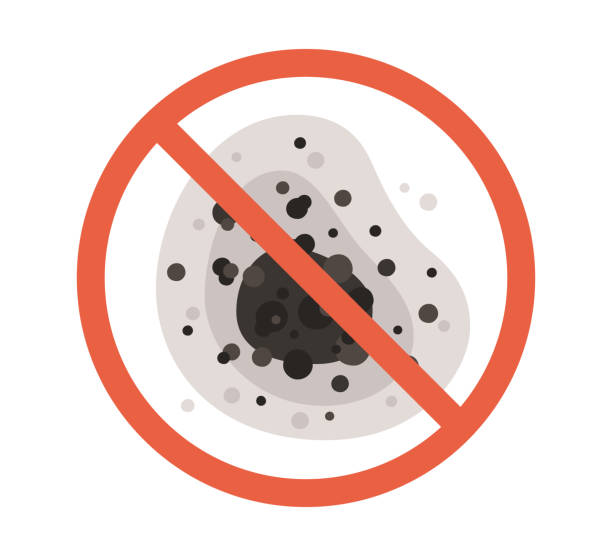 Best Forensic Mold Investigation  in Robins, IA