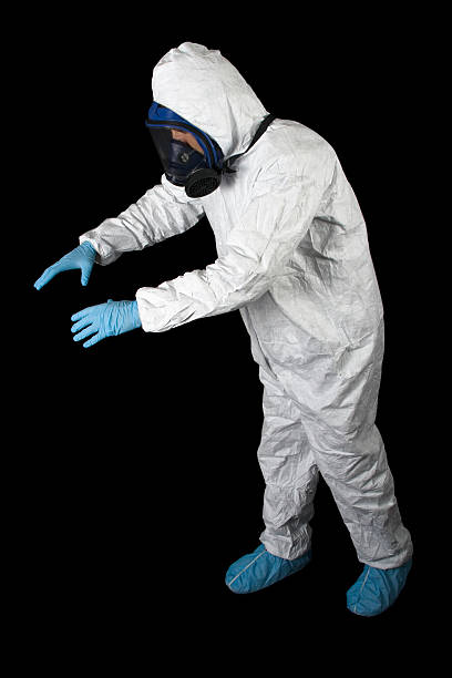 Best Attic Mold Removal  in Robins, IA