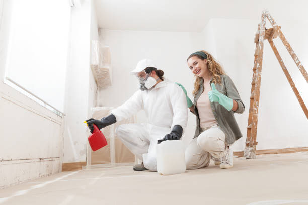 Best Asbestos and Lead Testing During Mold Inspection  in Robins, IA