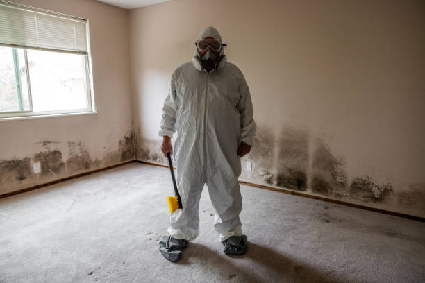 Best Airborne Mold Testing  in Robins, IA
